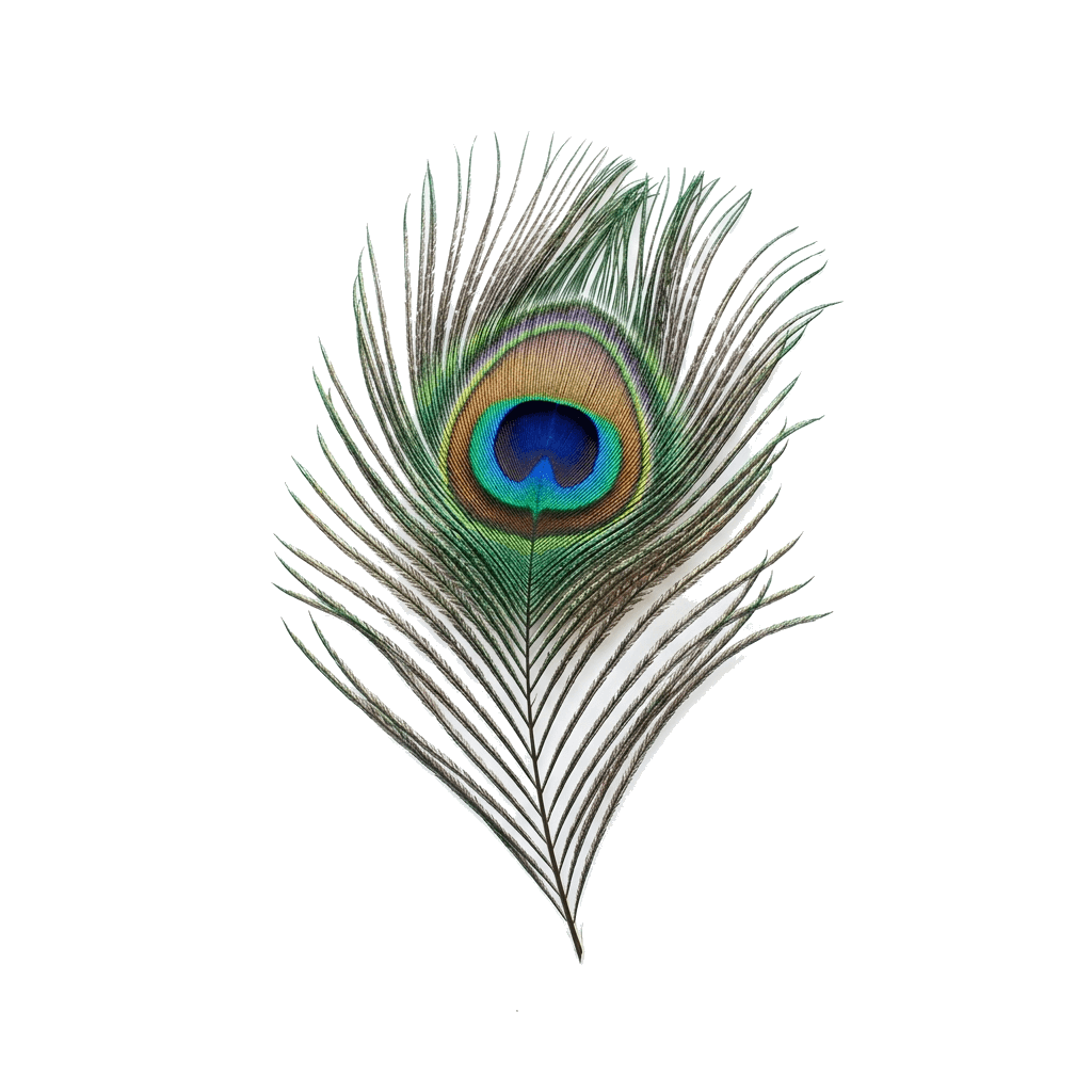 Sacred Sri Krishna Peacock Feather Decor